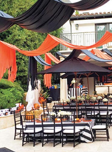 Tommy Williams Design